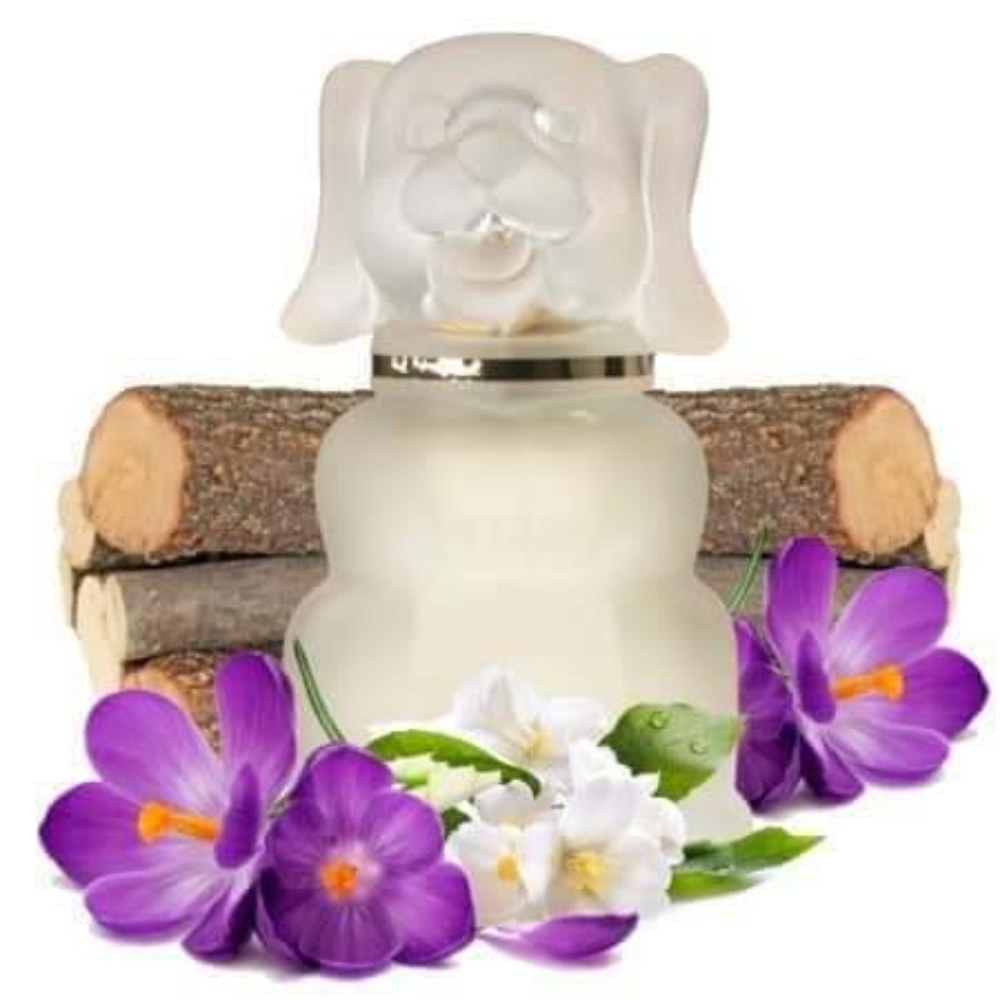 COPY - COPY - Baby boby